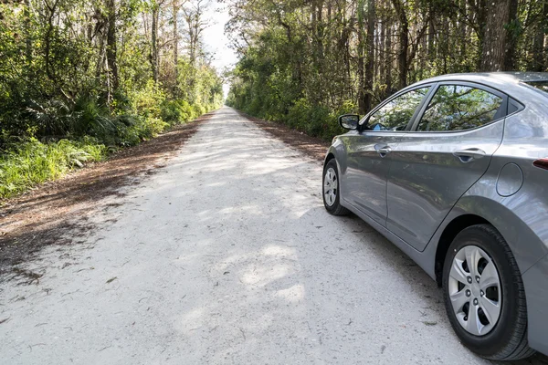 Car on Loop Road in Everglades, Florida