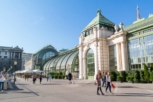 Palmenhaus w Burggarten, Wiedeń, Austria — Zdjęcie stockowe