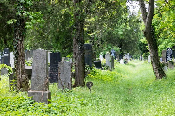 Sección judía del Cementerio Central de Viena — Foto de Stock