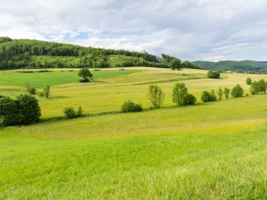 Avusturya Viyana Woods manzara