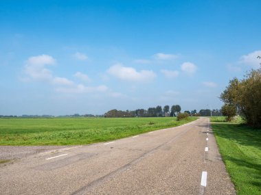 Hollanda, Friesland 'da Boornzwaag yakınlarında boş yolu olan Polder manzarası