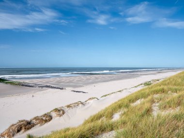 North Sea coast with deserted beach, breakwaters and dunes, West Frisian island Vlieland, Friesland, Netherlands clipart