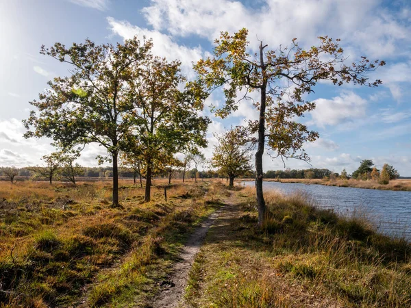 네덜란드 드렌터에 벨트의 습지에 포장도로와 물웅덩이 — 스톡 사진