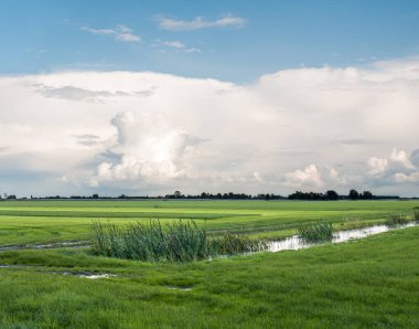 Cumulonimbus fırtına bulutu, örs bulutu, Hollanda, Friesland 'daki polen çayırları üzerinde.