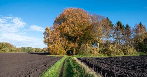 Ścieżka Przez Niedawno Zaorane Grunty Jesienią Reest Valley Overijssel Holandia — Zdjęcie stockowe