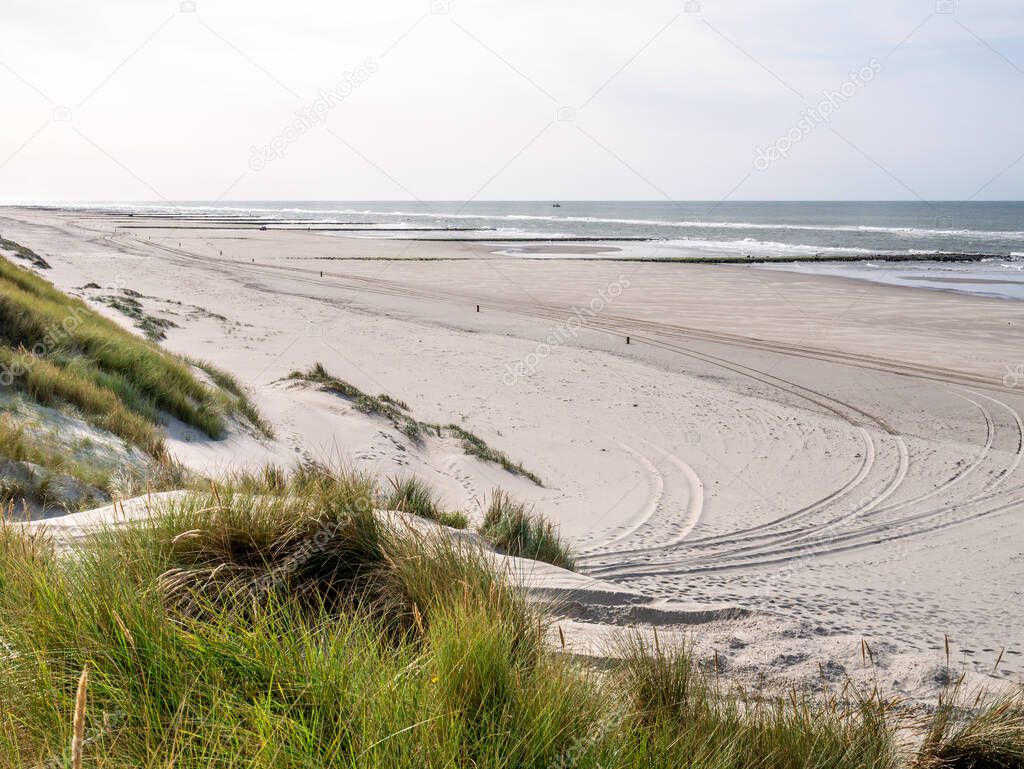 Beach with tire tracks and dunes at North Sea coast of West Frisian island Vlieland, Friesland, Netherlands