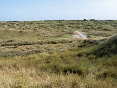 Batı Frizya adası Vlieland, Friesland, Hollanda 'nın doğasında bisiklet yolu ve marram otuna sahip kum tepeleri