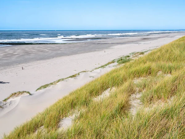 砂漠化したビーチ 西フリジア島の北海沿岸の防波堤と砂丘 Vlieland Friesland オランダ — ストック写真