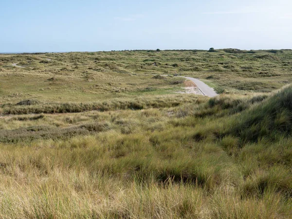 Dunes Bicycle Path Marram Grass Nature Reserve West Frisian Island — Stock Fotó