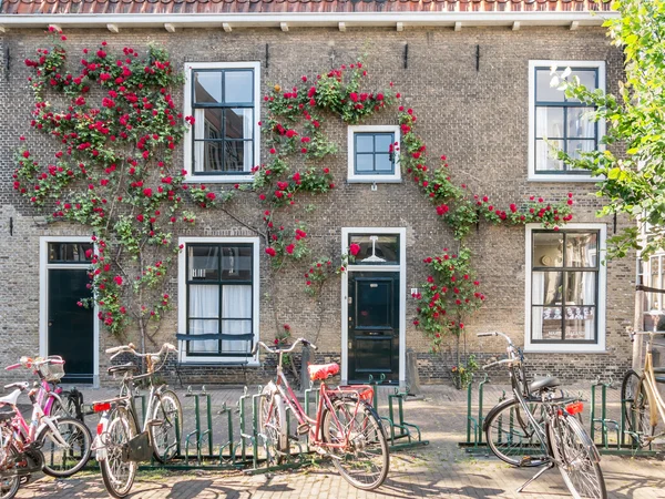 Sykler og gammelt hus i Gouda, Holland – stockfoto