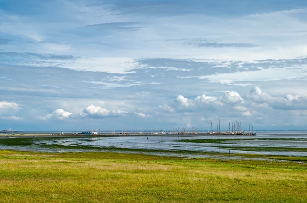 Wetlands Waddensea, Países Baixos — Fotografia de Stock