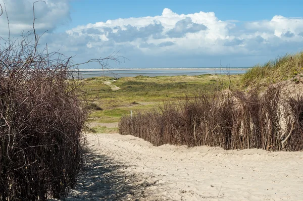 砂丘、ボルクム島の小道 — ストック写真