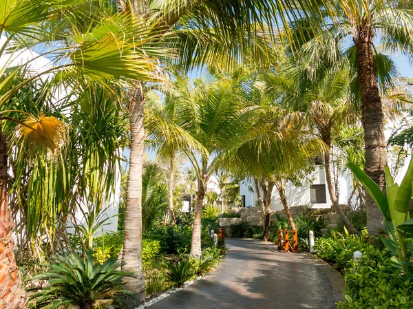 Jardín tropical del hotel en Dubai, Emiratos Árabes Unidos — Foto de Stock