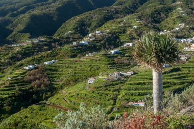 Cumbre Mountains, La Palma, Canary Islands