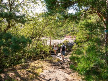 Fjallbacka, İsveç - 18 Ağustos 2025: Fjallbacka, Bohuslan, Vastra Gotaland, batı kıyısı İsveç 'te Vetteberget' te orman patikasındaki yürüyüşçüler
