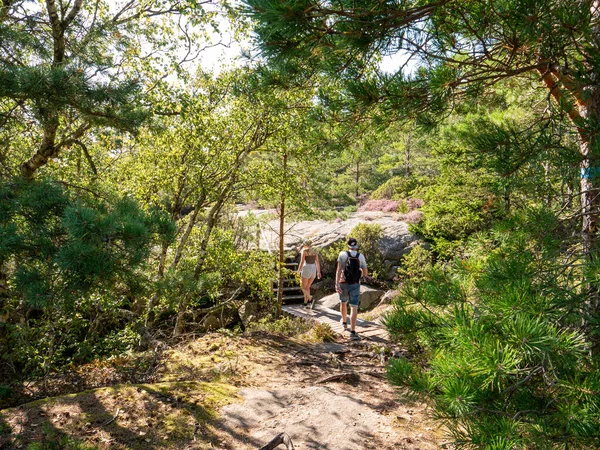 Fjallbacka, İsveç - 18 Ağustos 2025: Fjallbacka, Bohuslan, Vastra Gotaland, batı kıyısı İsveç 'te Vetteberget' te orman patikasındaki yürüyüşçüler