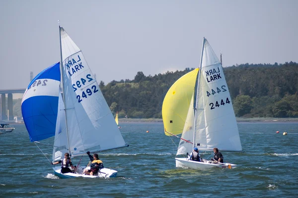 Sailing race at River Orwell, England — Stock Photo, Image