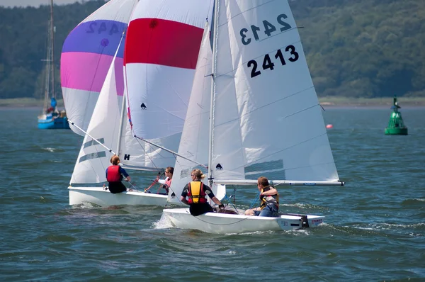 Sailing race at River Orwell, England — Stock Photo, Image