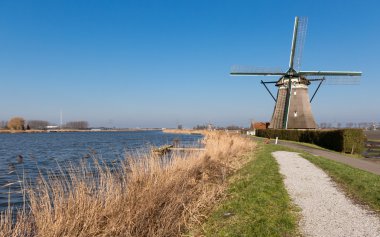 Güney Hollanda, Hollanda yel değirmenleri