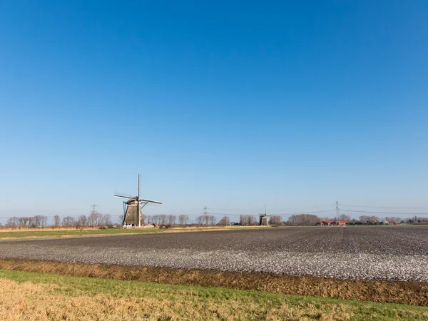 A holland szélmalmok — Stock Fotó