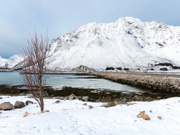Vinter Lofast rutten på Lofoten öarna, Norge — Stockfoto