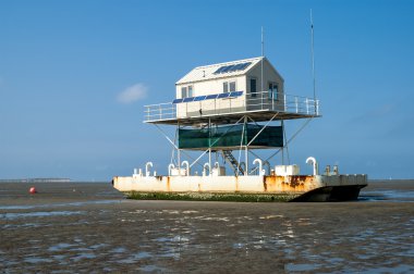 Birdwatch Kamara, Wadden Denizi