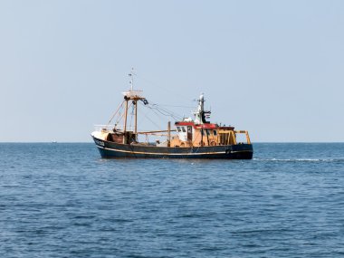 Karidesçi denizde, Hollanda