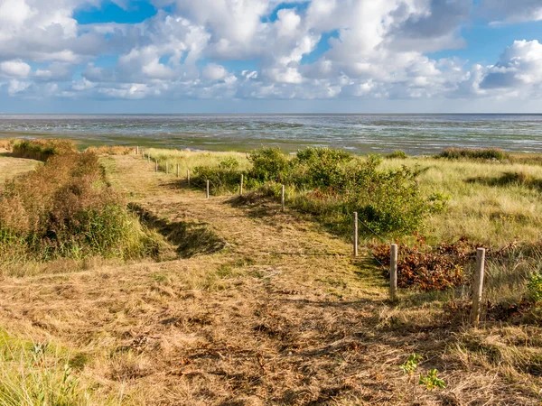 Paisaje Vlieland y Waddensea, Holanda — Foto de Stock