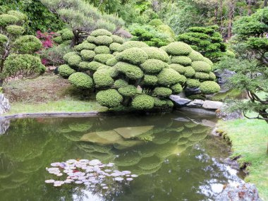 San Francisco, Amerika Birleşik Devletleri - 23 Nisan 2013: Japon Çay Bahçesi Golden Gate Park, San Francisco, Kaliforniya, ABD