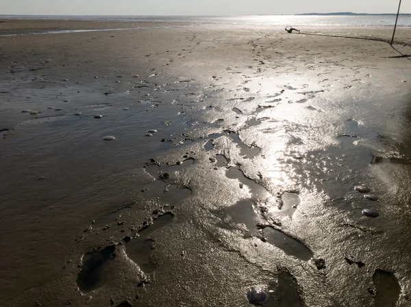 Pisos de marea de humedales Mar de Wadden, Países Bajos — Foto de Stock