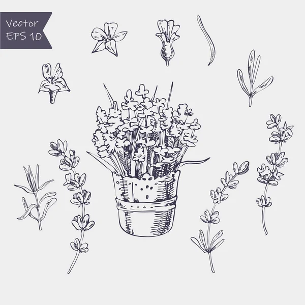 ポートフォリオ Ogurechka ページ 3 ストック写真 イラストとベクターアート Depositphotos