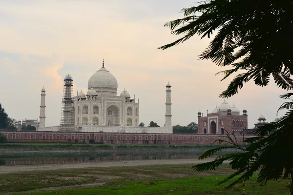 Taj mahal Türbesi