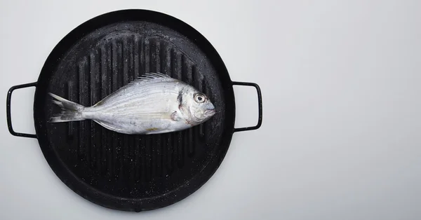 Presentation of fresh wild sea bream on grill pan ready to cook, — Stock Photo, Image