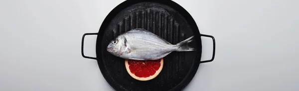 Close up presentation of fresh wild sea bream on grill pan, with — Stock Photo, Image