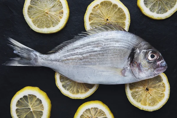 Présentation de daurades fraîches isolées sur des tranches de citron arrondies — Photo