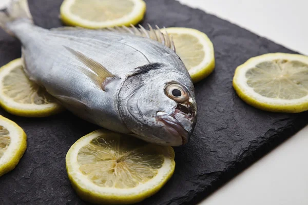 Présentation de daurades fraîches isolées sur des tranches de citron arrondies — Photo