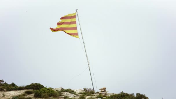 Viento sopla en vieja bandera rasgada — Vídeo de stock