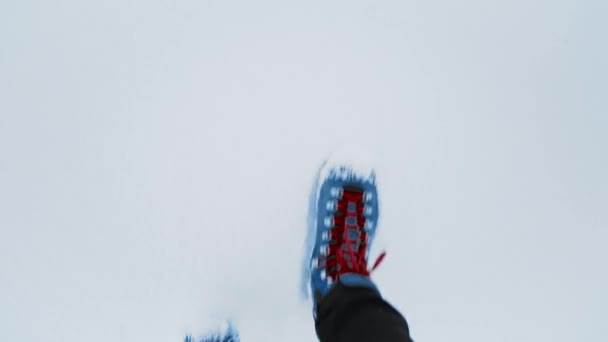 Botas de trekking caminando — Vídeo de stock