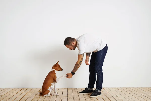 Dog give paw to owner — Stock Photo, Image