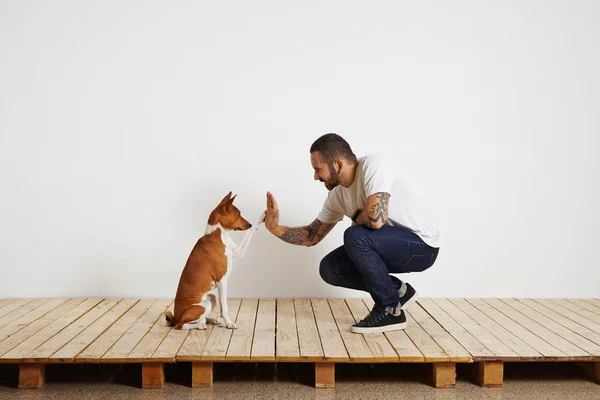 Cão dando cinco ao proprietário — Fotografia de Stock