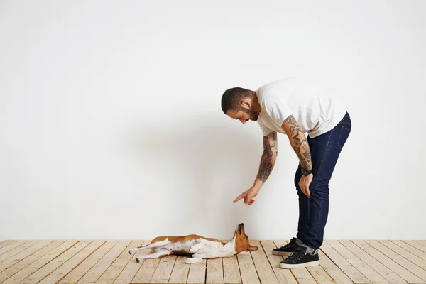 Owner trains dog to follow command roll over — Stock Photo, Image