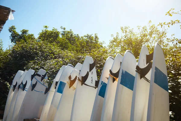 Sok szörfdeszkák parkolt surf táborban — Stock Fotó