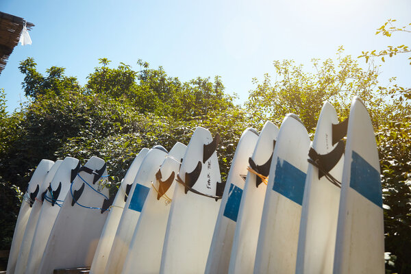 Many surfboards parked in surf camp
