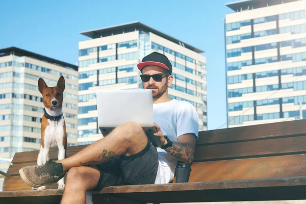 Hipster työskentelee kannettavan lähellä koira — kuvapankkivalokuva