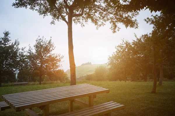 wooden picnic table under tree