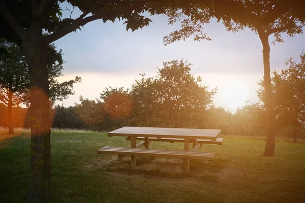 Új fa piknik asztal egy gyönyörű parkban — Stock Fotó