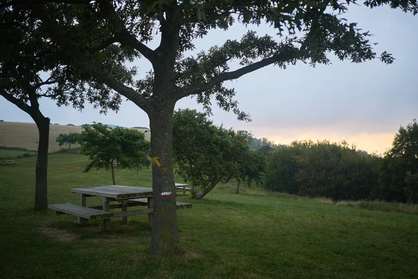 Picnic table at park — Stock Photo, Image