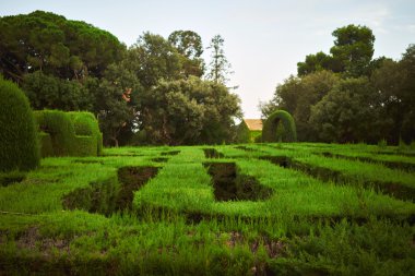 Yeşil park labirentte