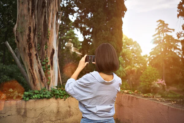 Girl taking a photo of  old tree — Stock Photo, Image