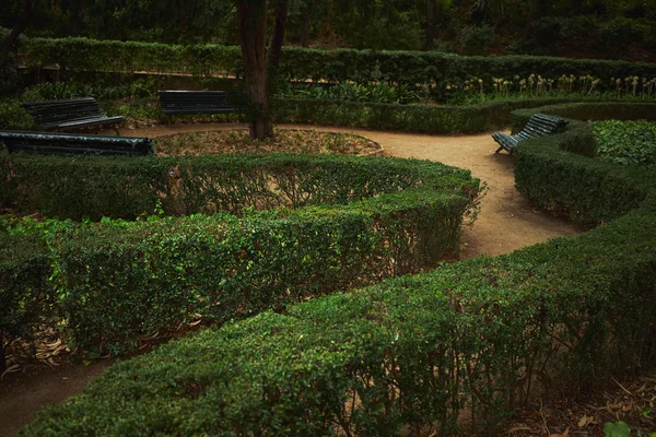 Labirinto recinzione verde in un parco — Foto Stock